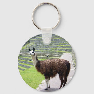 Chaveiro parece lama