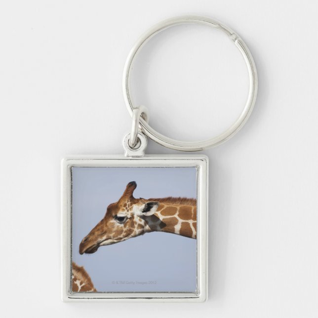 Chaveiro Pares de girafas Reticulated (Giraffa (Frente)