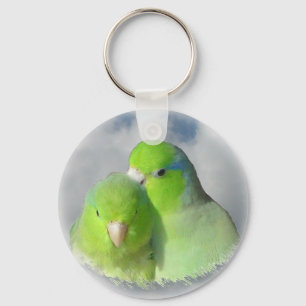 Chaveiro Pares verdes do parrotlet