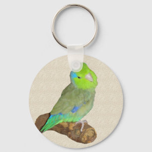 Chaveiro Parrotlet masculino verde