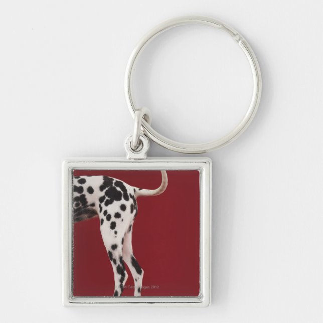 Chaveiro Parte traseira do Dalmatian (Frente)