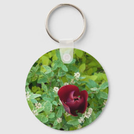 Chaveiro parterre de fleurs au printemps