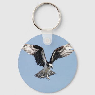Chaveiro Pássaro bonito do Osprey que procurara pela rapin