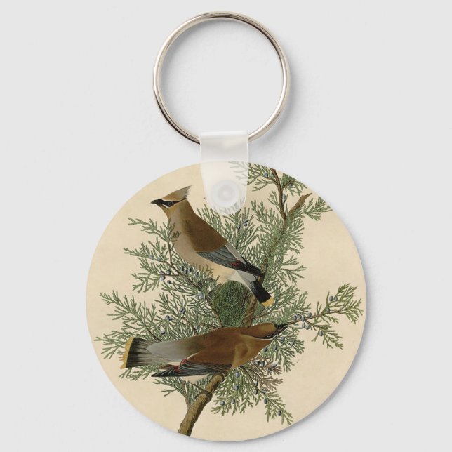 Chaveiro Pássaro-cera-de-Audubon (Frente)