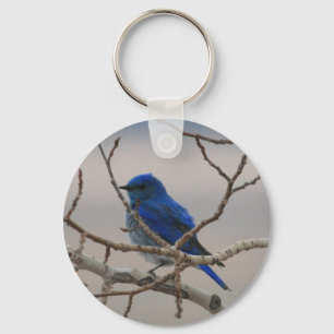 Chaveiro Pássaro do azul da montanha