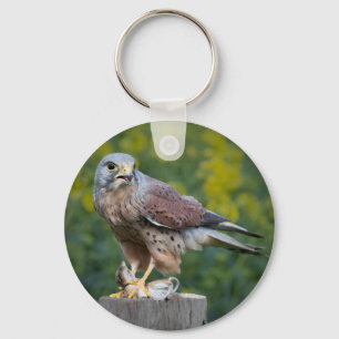 Chaveiro Pássaro do chaveiro/Keyring da rapina