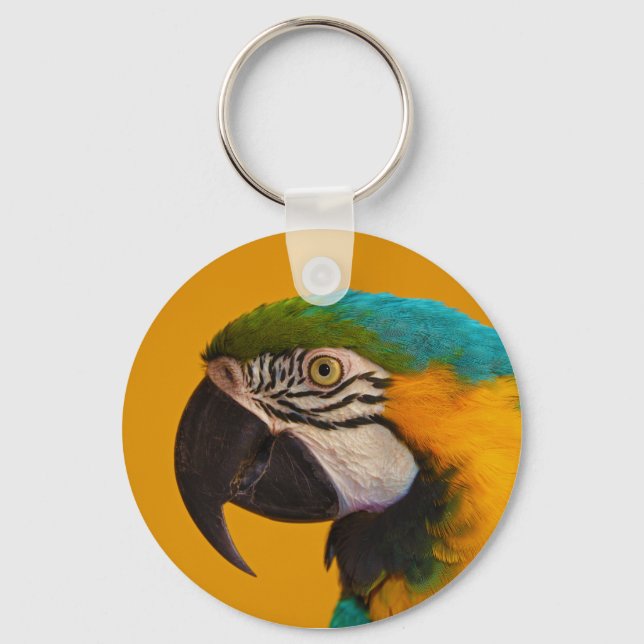 Chaveiro Pássaro do papagaio Ara Ararauna, de arara, azul e (Frente)