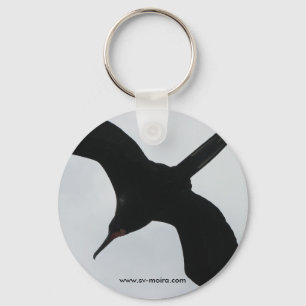 Chaveiro Pássaro Frigado (Fragata), Ilhas Galápagos 2