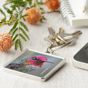 Chaveiro Pássaro Hummingbird da Anna, um homem espantoso, n