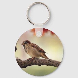 Chaveiro Pássaro Sparrow na árvore