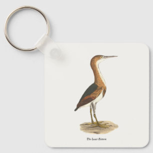 Chaveiro Pássaros de Nova Iorque (Ixobrychus exilis)