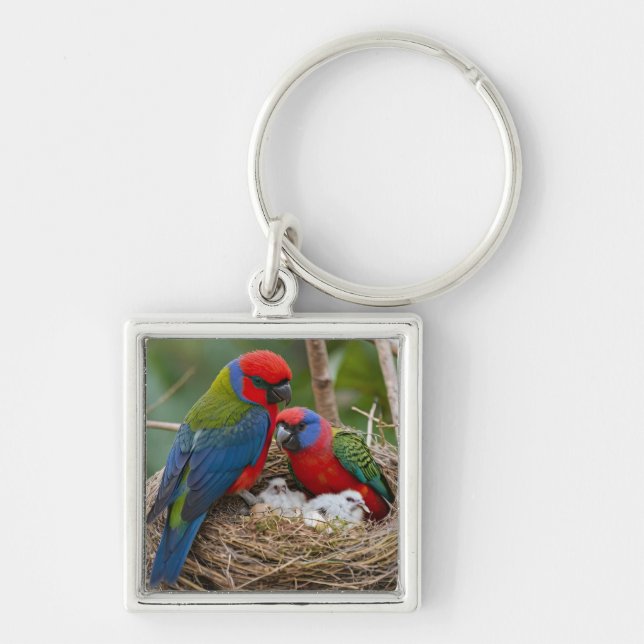 Chaveiro Pássaros Rosella (Frente)