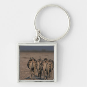 Chaveiro Passeio das zebras de Burchell