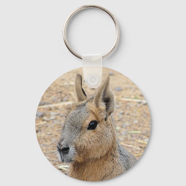 CHAVEIRO PATAGONIAN MARA (Frente)