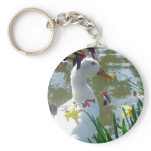 Pato Branco Em Daffodils Por Lake Keyring