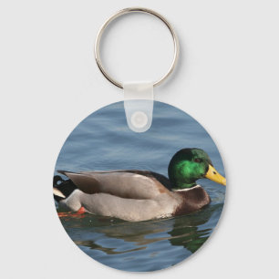 Chaveiro Pato Mallard