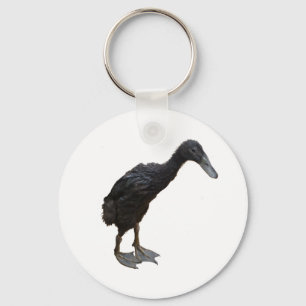 Chaveiro pato preto de continuar