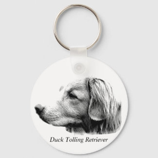Chaveiro Pato Tolling Cachorro do Retriever Imagens de Engr