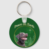 Paz de Labrador Retriever (choc)