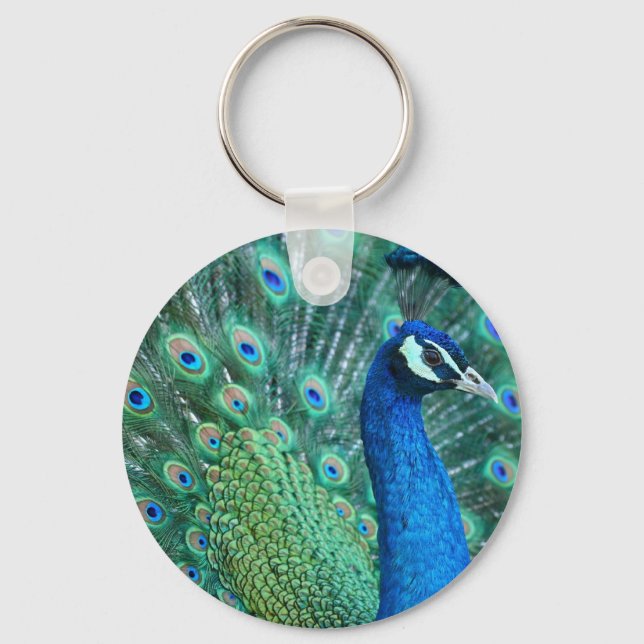 Chaveiro Peacock (Frente)