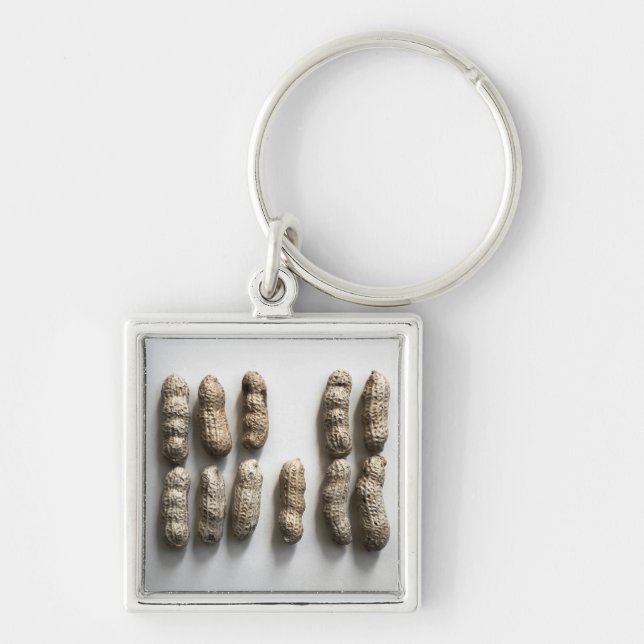 Chaveiro Peanuts Ainda Vida Fotografia De Arte Bela (Frente)