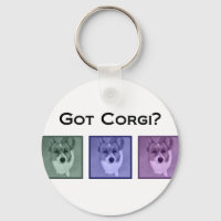 Pegou Corgi? Corgis