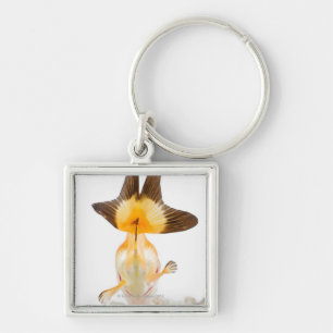 Chaveiro Peixe dourado (auratus do Carassius) 2