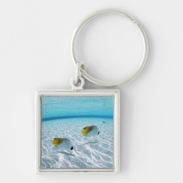 Chaveiro Peixes no mar 2 (Frente)