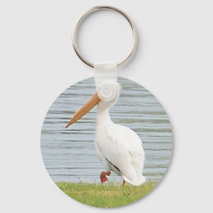 Chaveiro pelicano branco ao longo da linha costeira