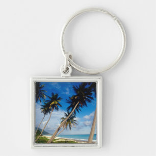 Chaveiro Península de La Samana, República Dominicana,