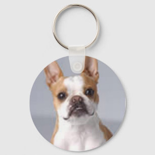 Chaveiro pequeno de Brown Boston Terrier