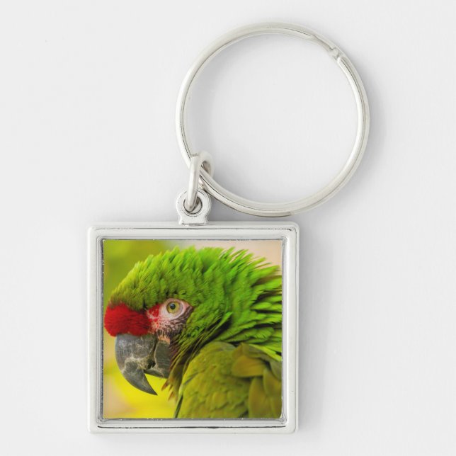 Chaveiro Perfil de arara no Zoológico de Santa Barbara (Frente)