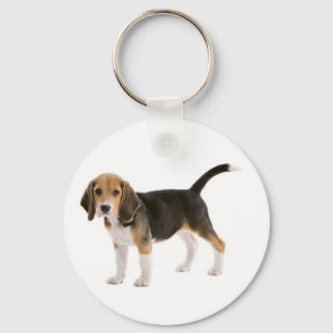 Chaveiro Personalizado de Cachorro Beagle Filhote 