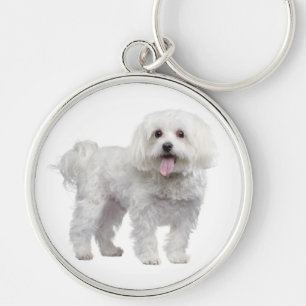 Chaveiro Personalizado de Cachorro Filhote Maltês