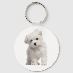 Chaveiro Personalizado de Cão Cachorro Branco Mal