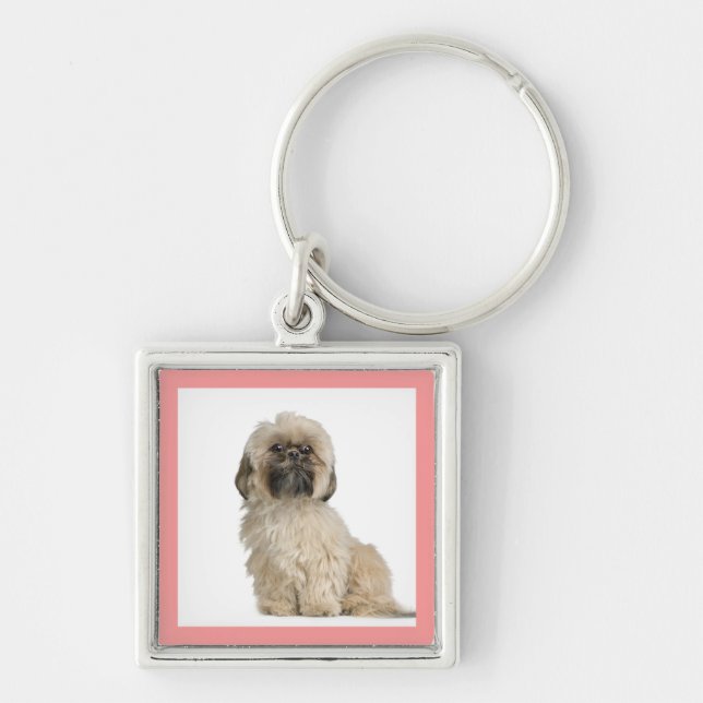 Chaveiro Personalizado De Cão De Cãezinho Shih Tzu (Frente)