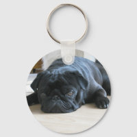 Personalizar o nome dos acessórios do Pug Puppy pr