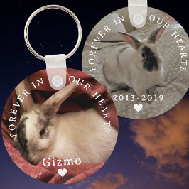 Chaveiro Pet Bunny Rabbit Memorial Duas Fotografias | Nome 