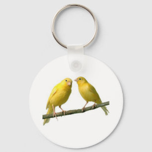 Chaveiro Pet Canary Bird Merchandise