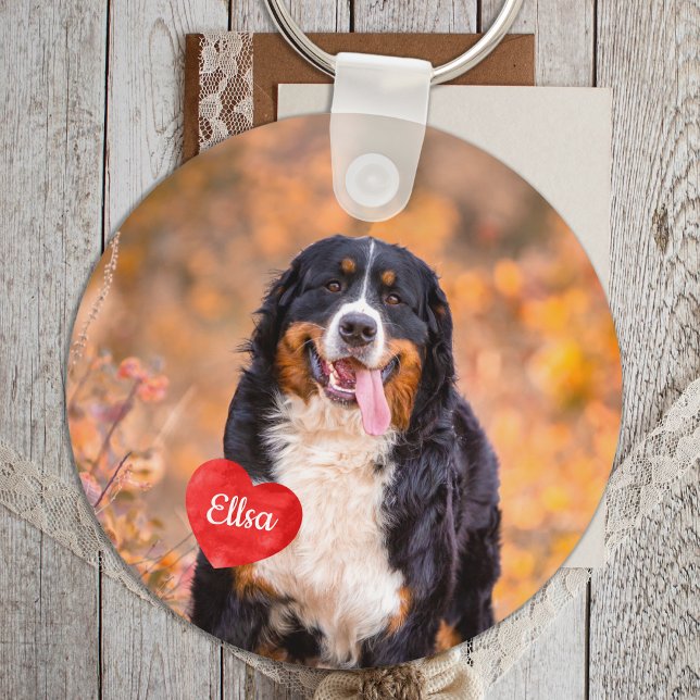 Chaveiro Pet Dog Personalizado 2 (Criador carregado)