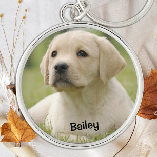 Chaveiro Pet Fotografia personalizada do cão sobre o cão