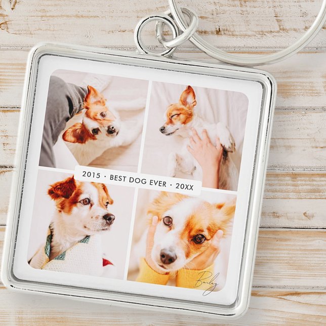 Chaveiro Pet Memorial Best Dog Alguma Vez Moderna Colagem d (Criador carregado)