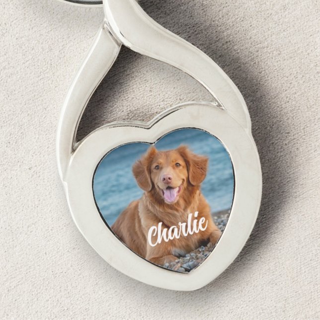 Chaveiro Pet Personalizada do Cão-de-Manequim (Criador carregado)