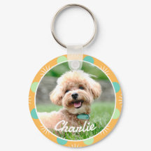 Pet Personalizado De Pet De Padrão Laranja Claro
