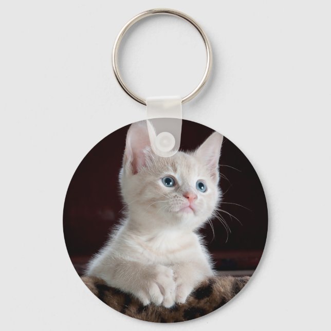 Chaveiro Pet Photo Cat Lover Personalizado (Frente)