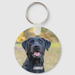 Chaveiro Pet Photo Dog Lover Keepsaet