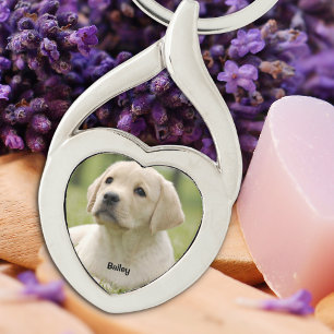 Chaveiro Pet Photo Keepsakover Personalizado