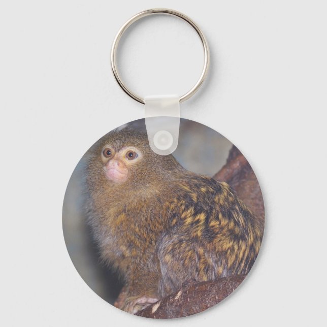 Chaveiro Picgmy Marmoset (Frente)