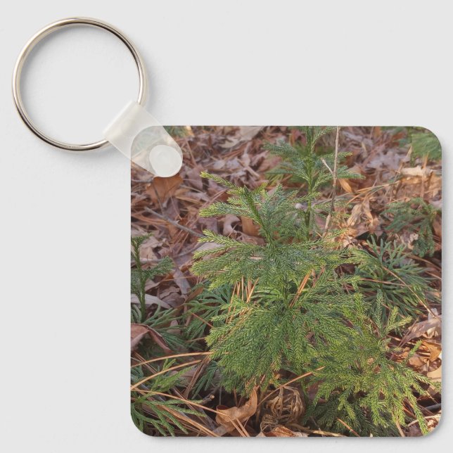 Chaveiro Pine Sapling Keychain Nature-Inspired Gift (Frente)
