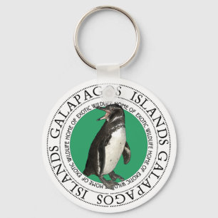 Chaveiro Pinguim das Ilhas Galápagos